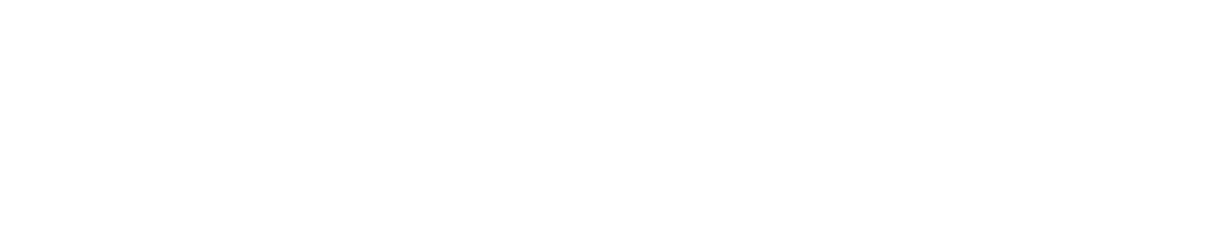 ShinPower